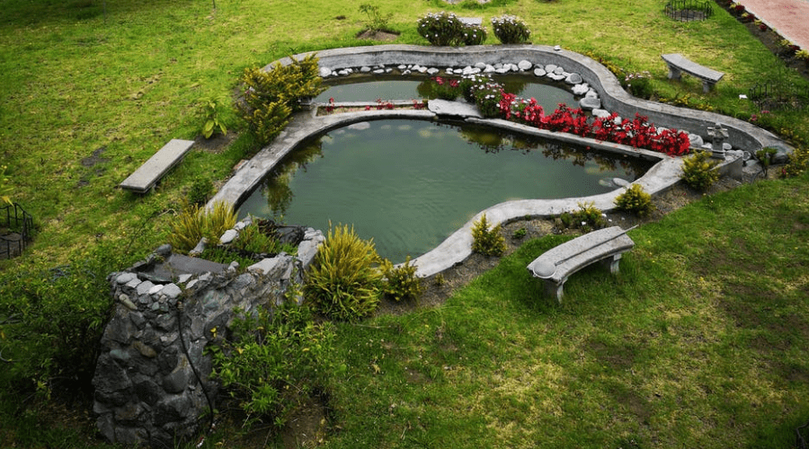 73 Backyard and Garden Pond Designs And Ideas