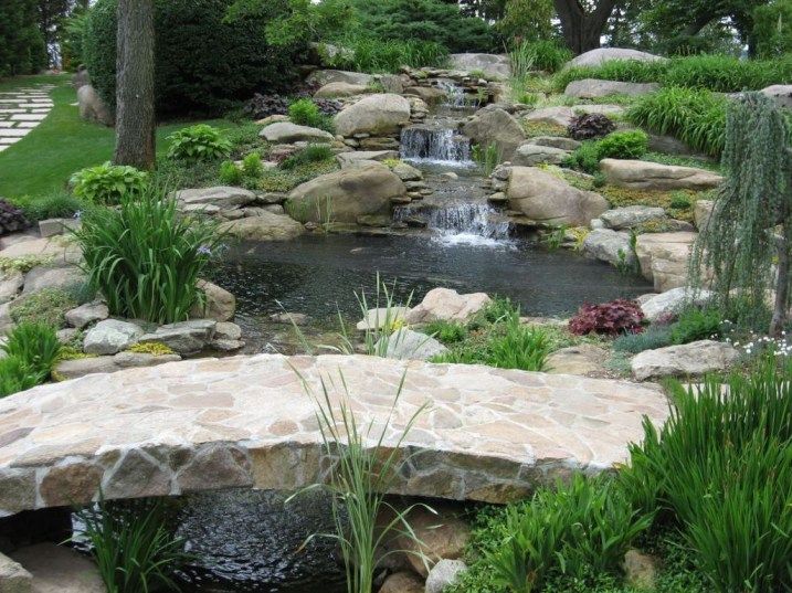 Modern Backyard Fish Pond Garden
  Landscaping Ideas