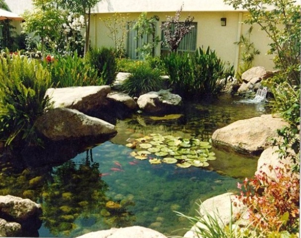 67 Cool Backyard Pond Design Ideas - DigsDigs
