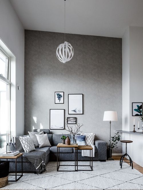 Scandinavian Living Room Design Idea with grey sofa, modern coffee