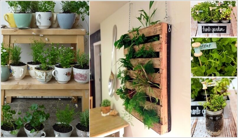 10 Cool DIY Ideas to Grow an Indoor Herb Garden u2013 Interior Design Blogs