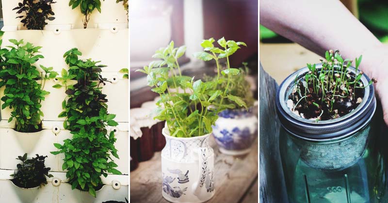 46 Indoor Herb Garden Ideas That Will Inspire You to Start Planting