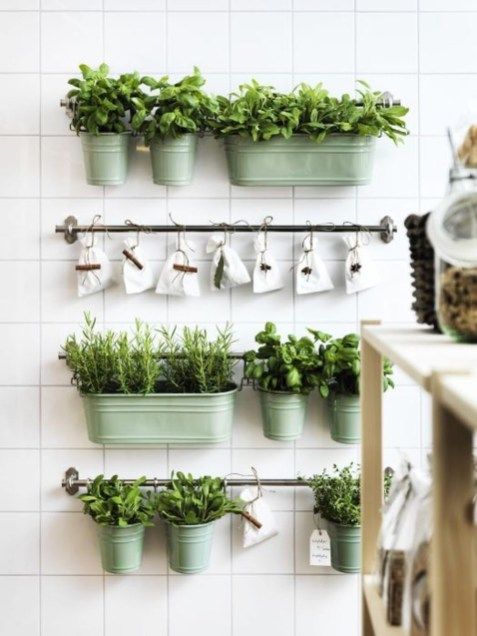 48 nice fresh ideas growing herbs gardens ideas | Herb garden | Herb