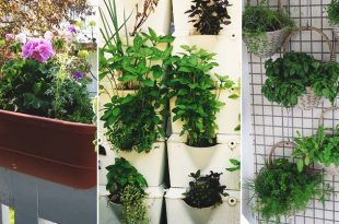 40 DIY Vertical Herb Garden Ideas to Have Fresh Herbs on Hand