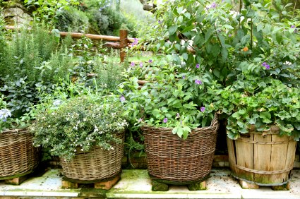 Herb Gardens 30 great Herb Garden Ideas - The Cottage Market