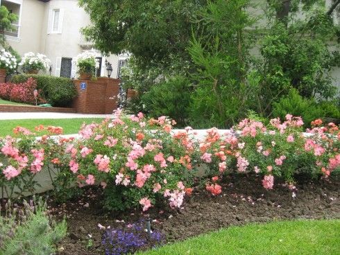 Pictures Of Flower Beds,Photos, Design For Garden Flower Beds