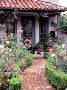 Front-Yard Rose Garden Plan | Better Homes & Gardens