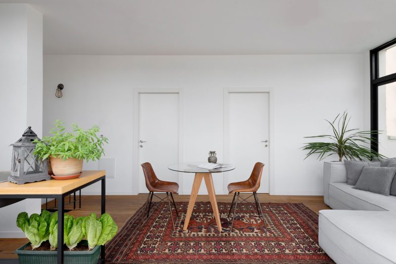 Minimalist Apartment Decor - Modern & Luxury Ideas