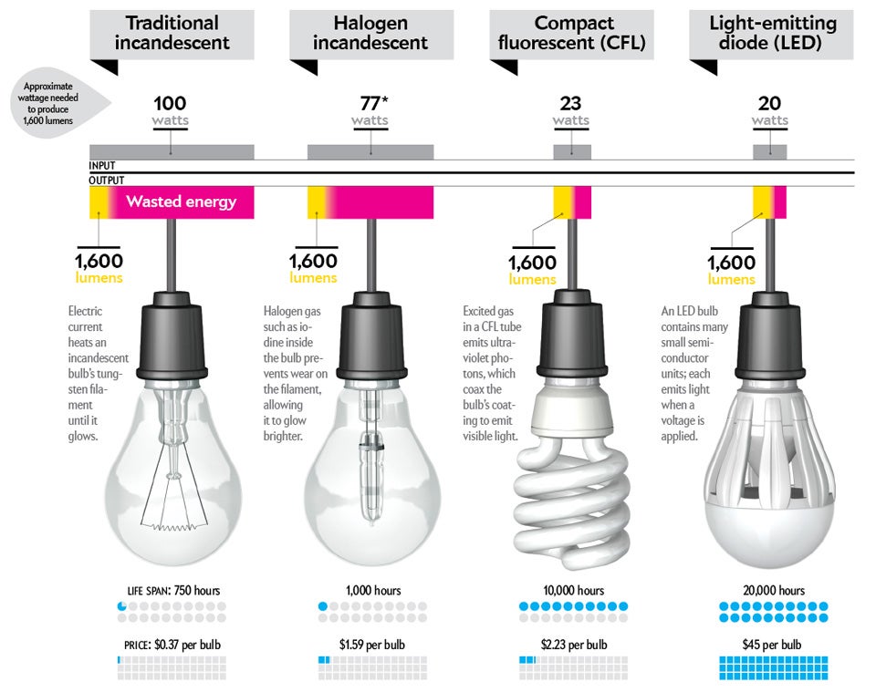 Buying a light bulb