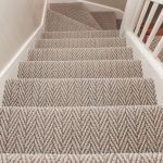 carpet rugs for stairs to the living room