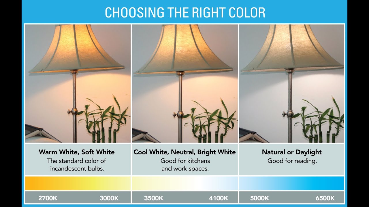 Choosing light bulbs