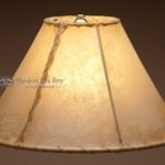 How to care for lamp lamp