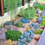 Enchanting Succulent Garden For Backyard