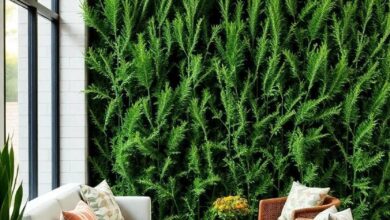 Creating Natural Privacy Walls: The Beauty and Benefits of Arborvitae Hedges