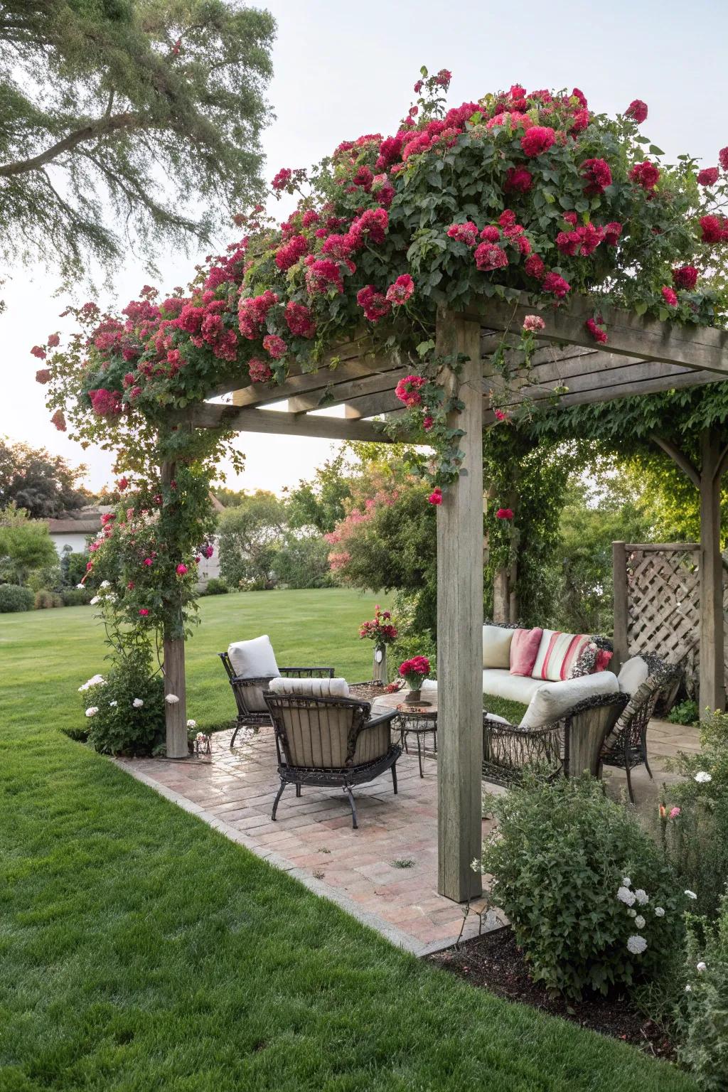 Elegant pergola providing shade and a romantic atmosphere.