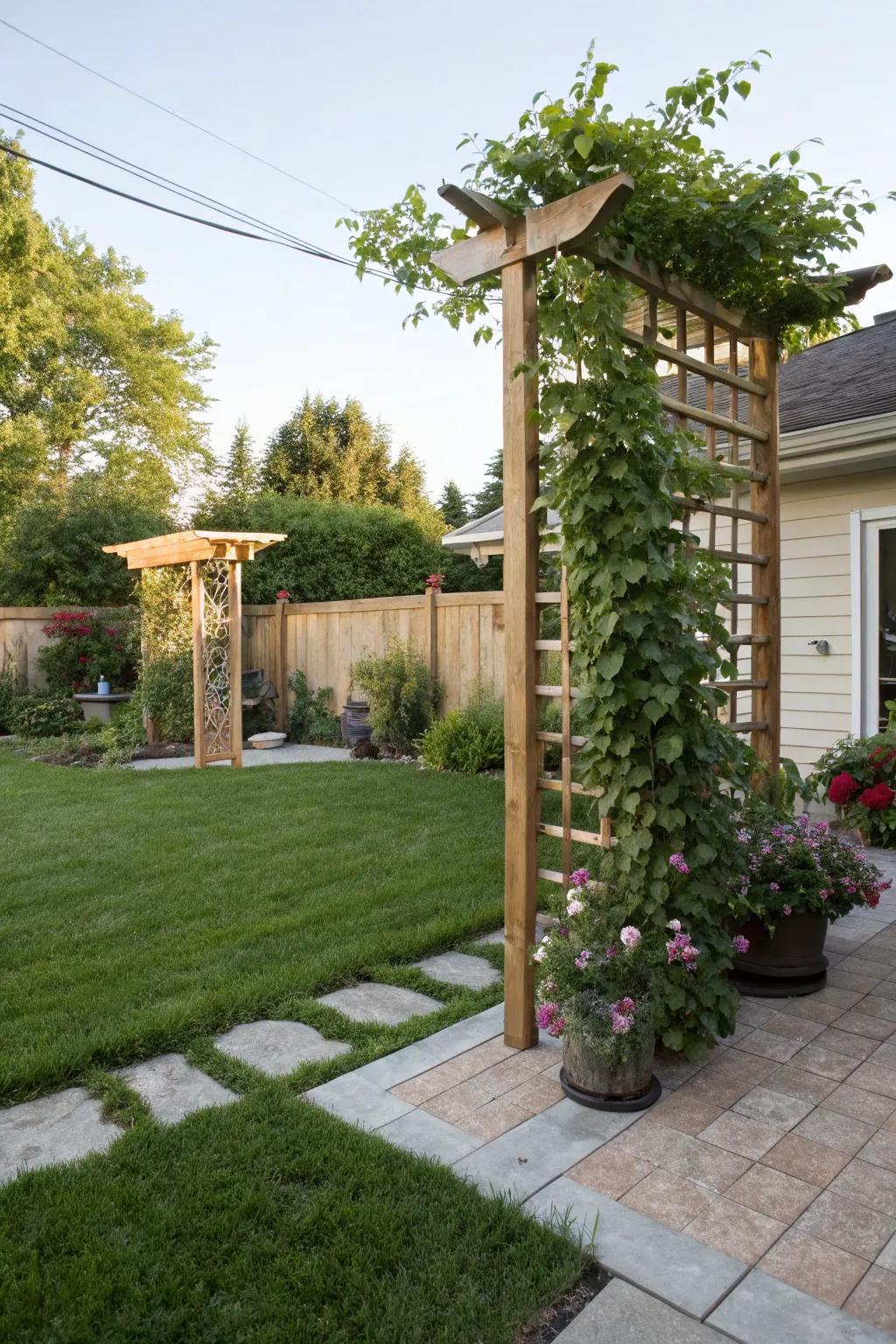 Wooden trellis supporting climbing plants, adding height and texture.