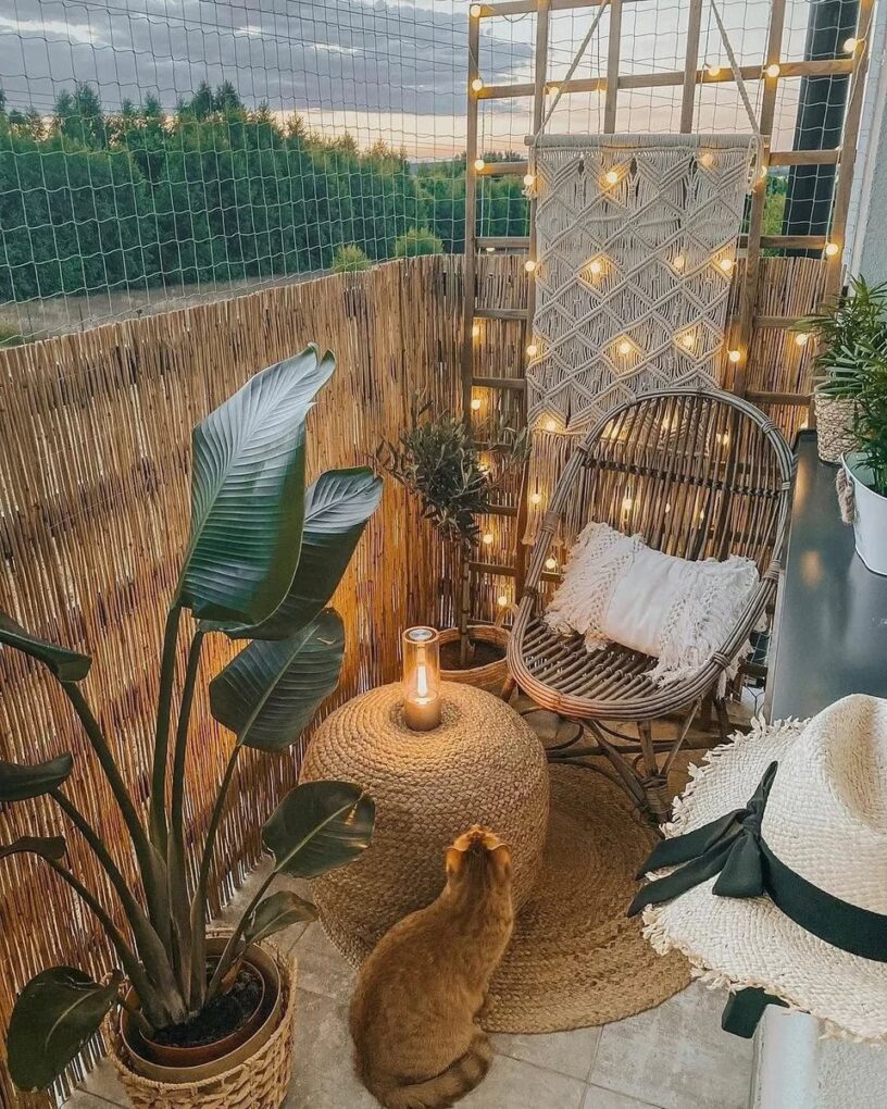 Succulent planters on balcony